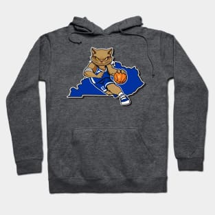 Kentucky Ballin' Cat Hoodie